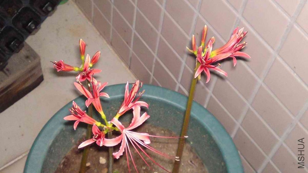 20110914178.JPG