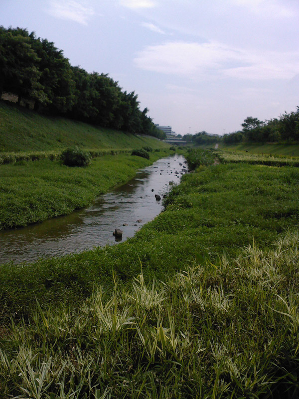 SP_A0005_1.jpg