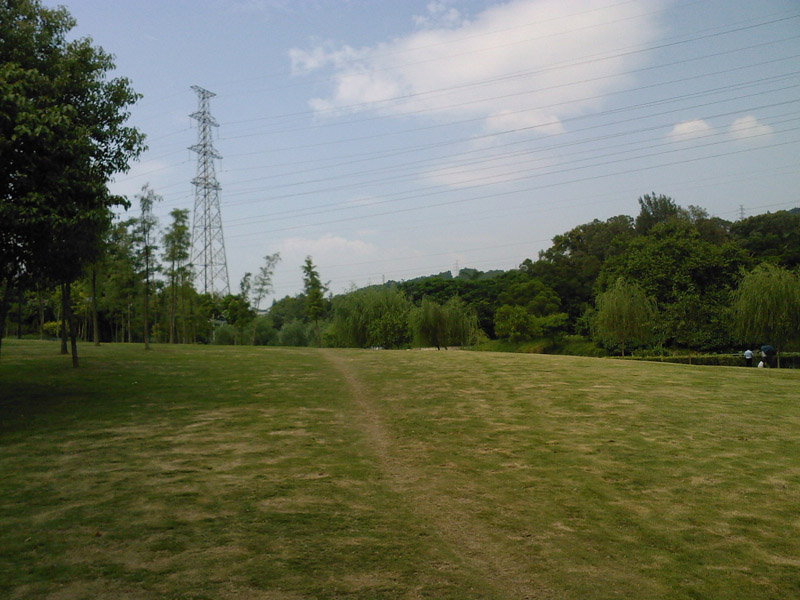 SP_A0011_1.jpg