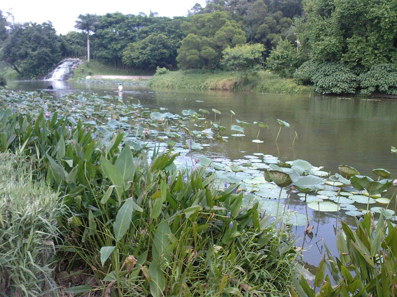 SP_A0016_1.jpg