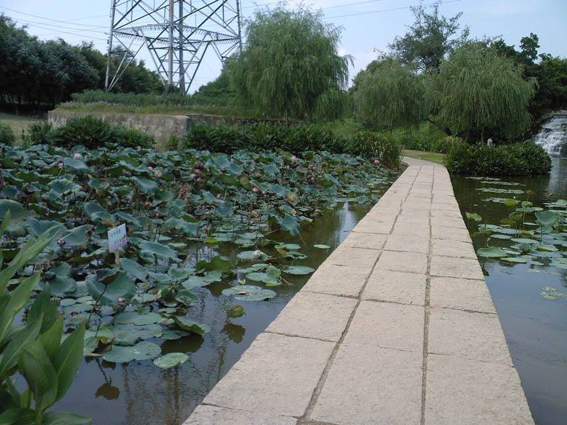 SP_A0018_1.jpg