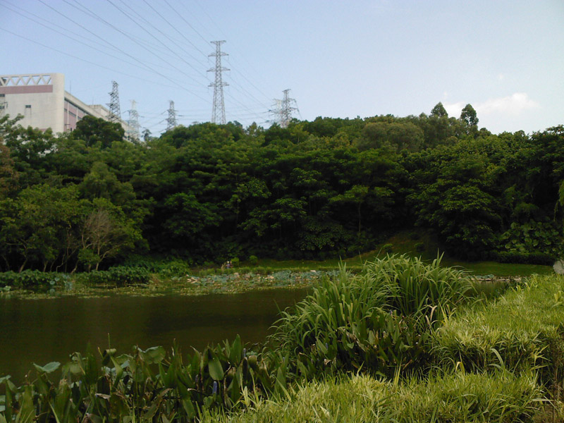 SP_A0023_1.jpg
