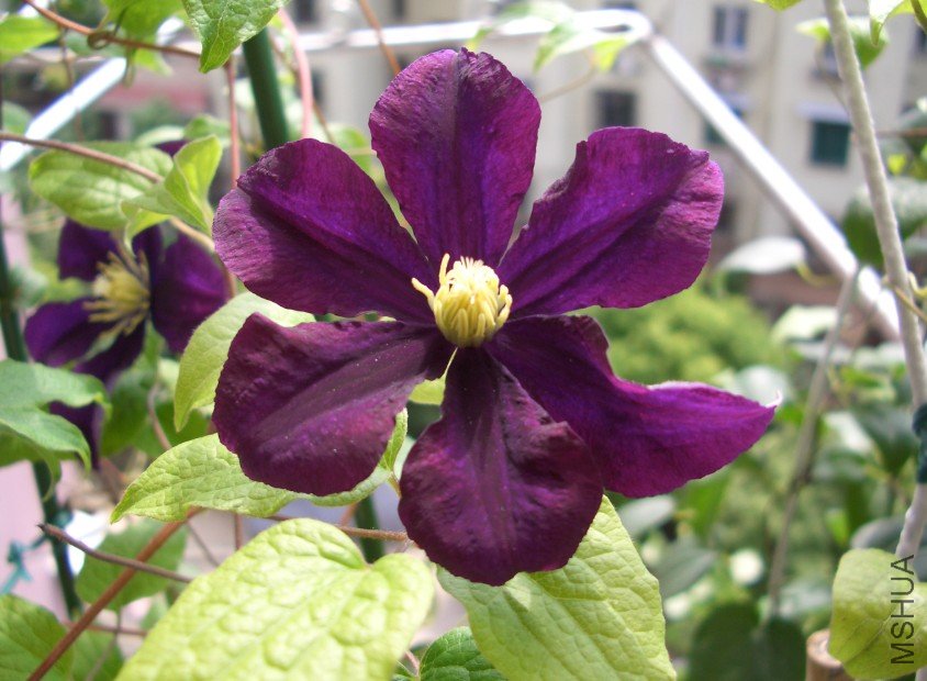 ��ɳŮ�� .jpg