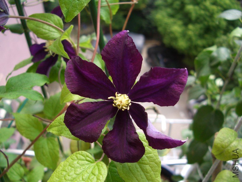 ��ɳŮ��  (3).jpg