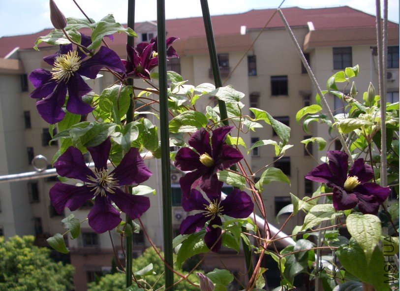 ��ɳŮ�� (4).jpg