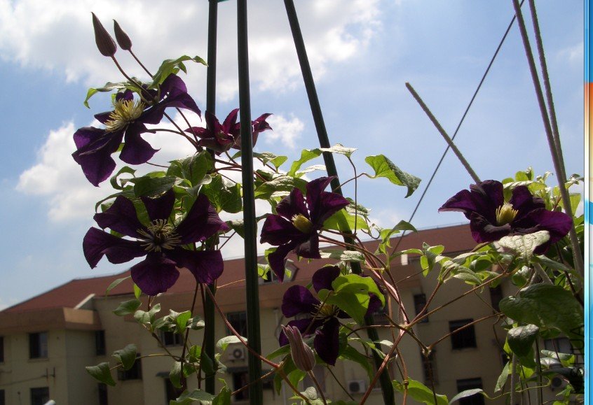 ��ɳŮ�� (5).jpg