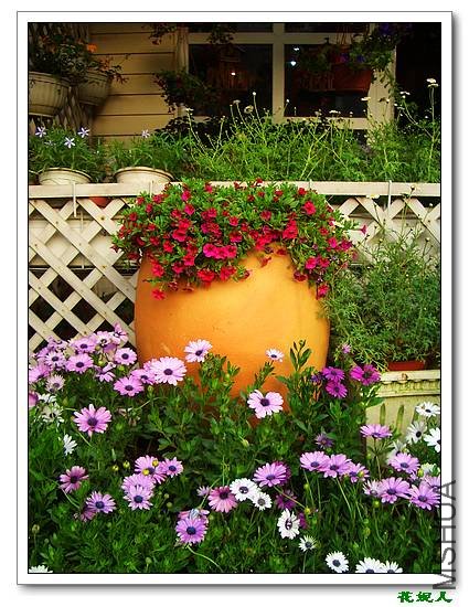 nEO_IMG_2009.02.20 021.jpg