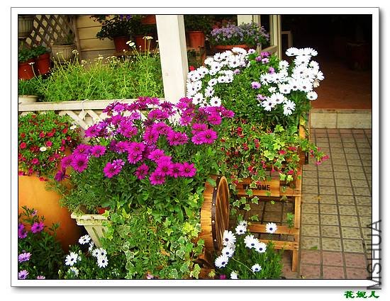 nEO_IMG_2009.02.20 022.jpg