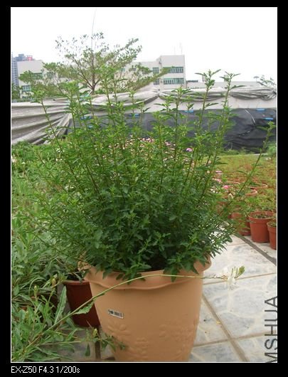 2009.04.09 017_nEO_IMG.jpg