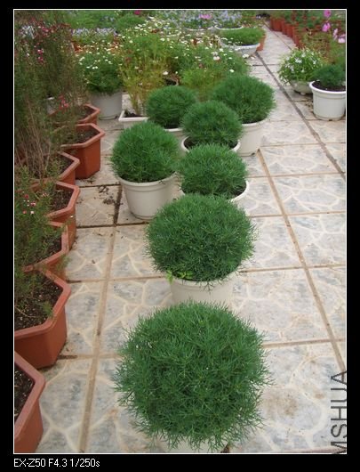 2009.04.09 024_nEO_IMG.jpg