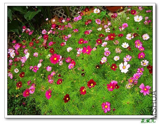 nEO_IMG_2009.12.15¥�� 001.jpg