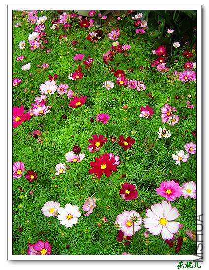 nEO_IMG_2009.12.15¥�� 005.jpg