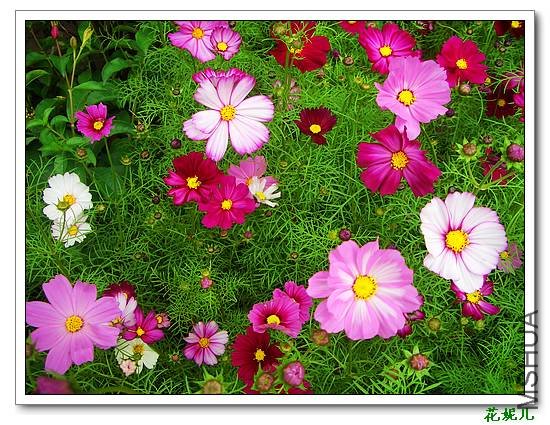 nEO_IMG_2009.12.15¥�� 007.jpg