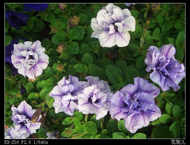 2010.02.24 005_nEO_IMG.jpg