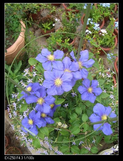 2009.04.13 001_nEO_IMG.jpg