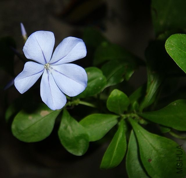 DSC05035.JPG