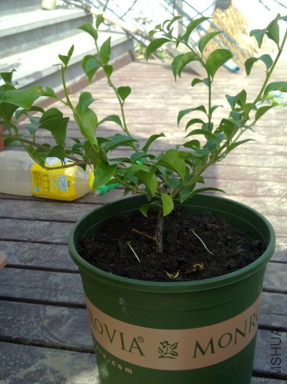 201109181919.jpg
