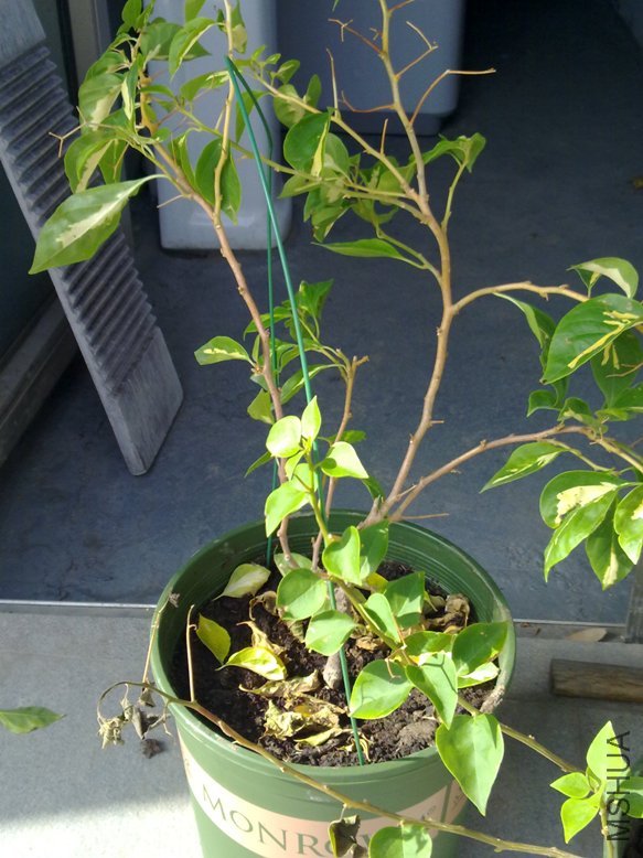 201109181920.jpg