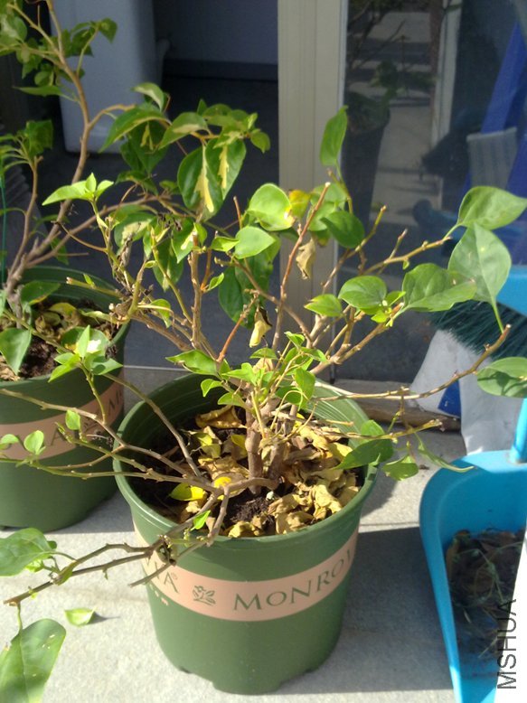 201109181921.jpg