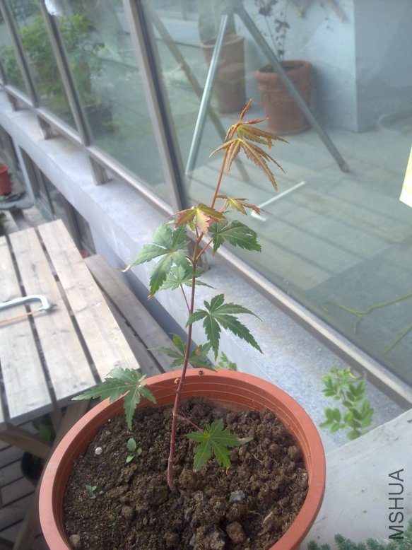 201109181929.jpg