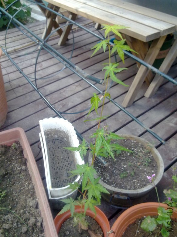 201109181931.jpg