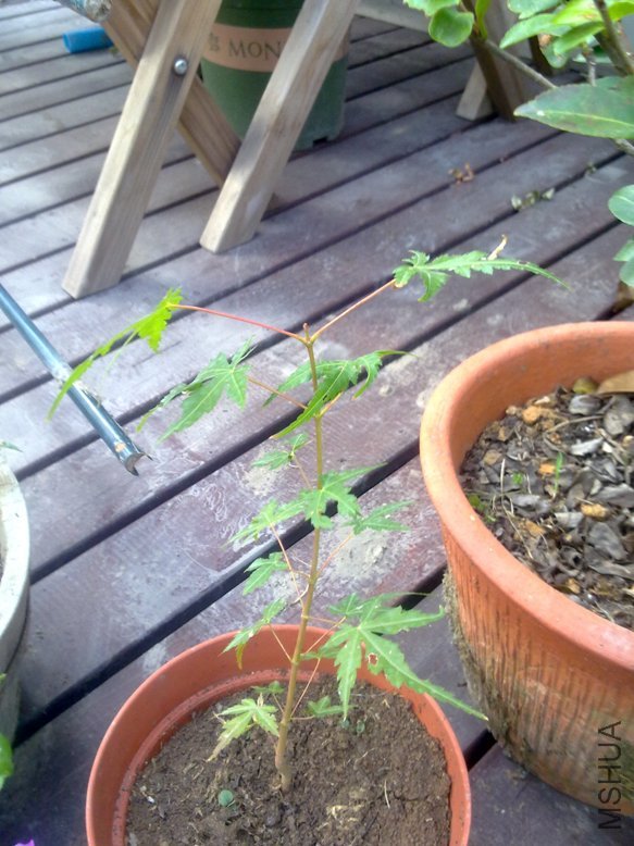 201109181930.jpg