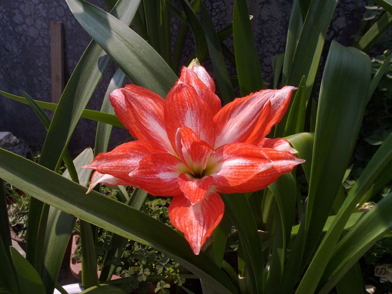 201109186584.jpg