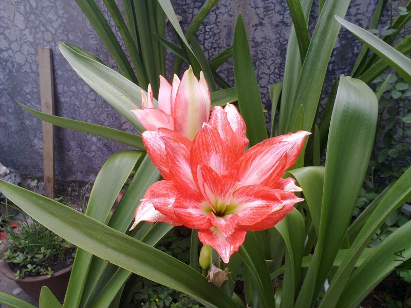 201109196593.jpg