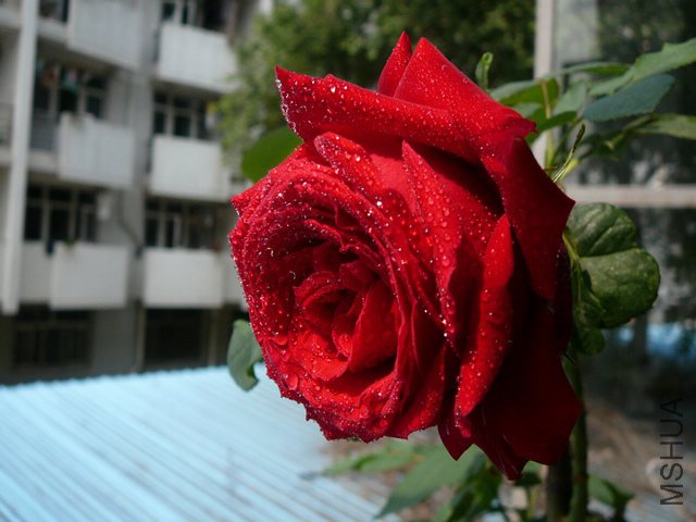 �ҵ��¼�5.jpg