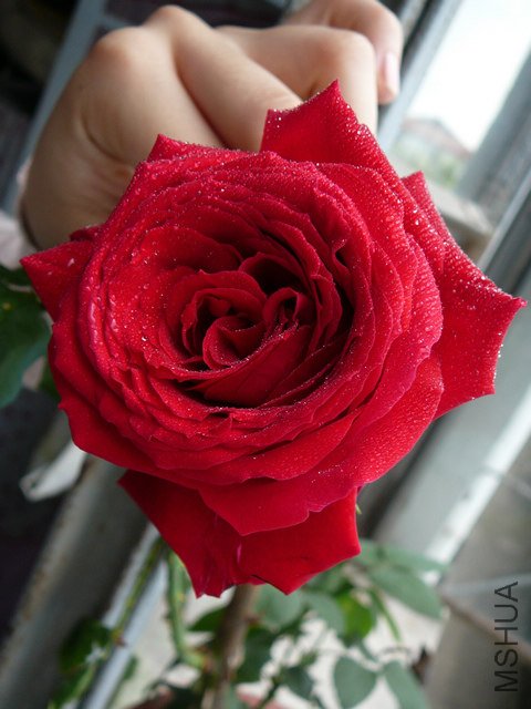 �ҵ��¼�6.jpg