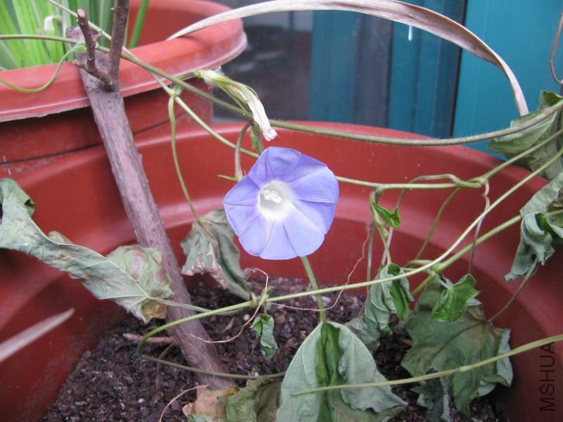 110919ǣţ.JPG