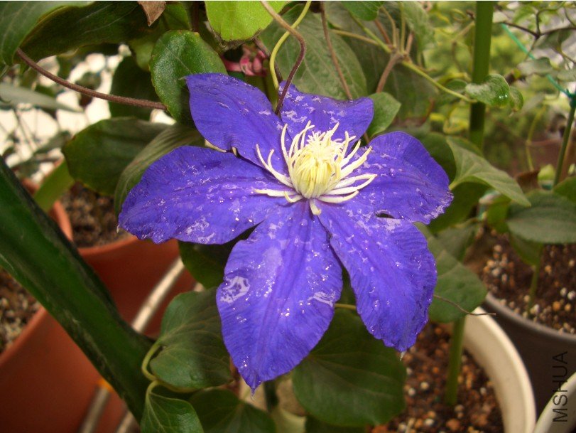 ����2 (2).jpg