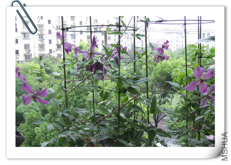 DSCF7586_����.jpg