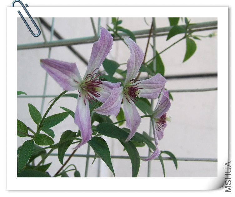 dscf4037_����.jpg