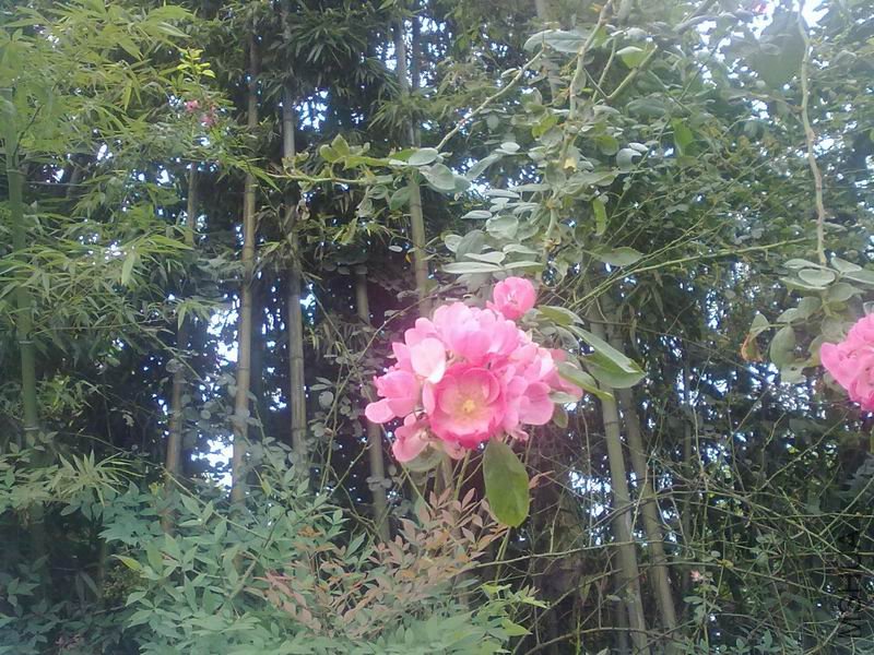 20110924004.jpg
