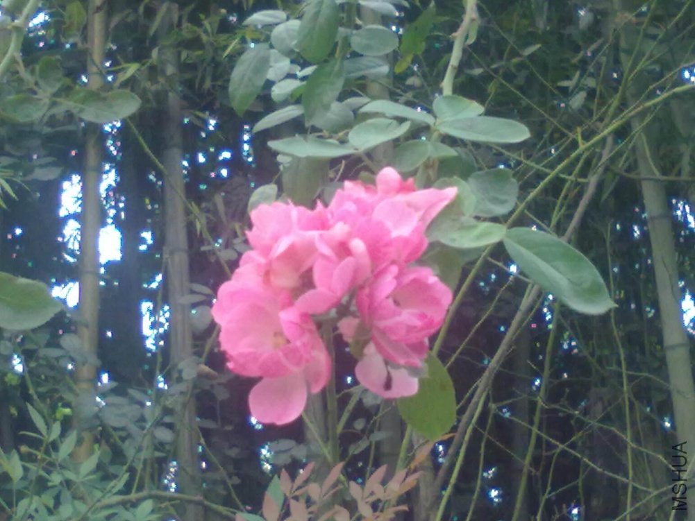 20110924005.jpg