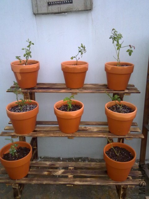 201109241986.jpg