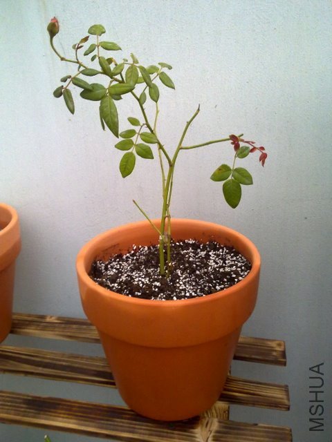 201109241989.jpg