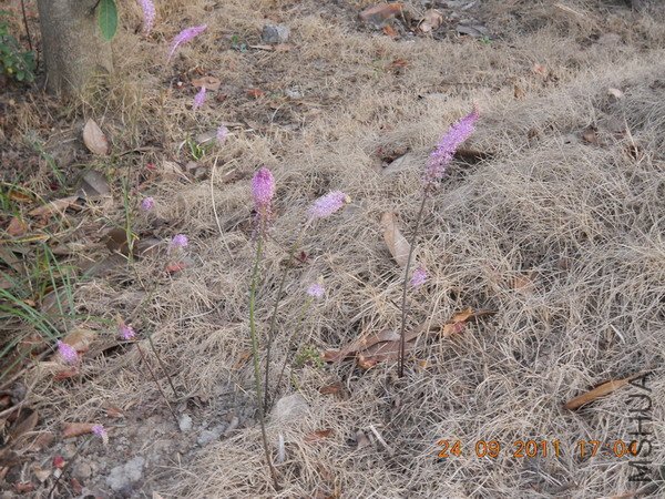 DSCN1151.JPG