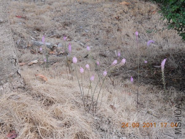 DSCN1153.JPG