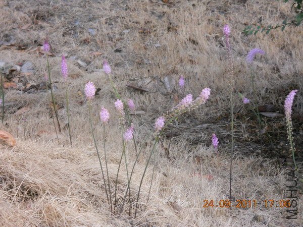 DSCN1161.JPG