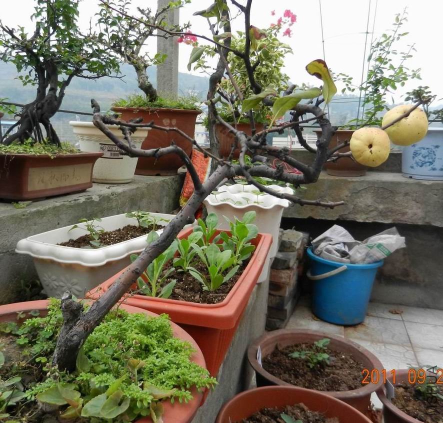 ���� 002.jpg