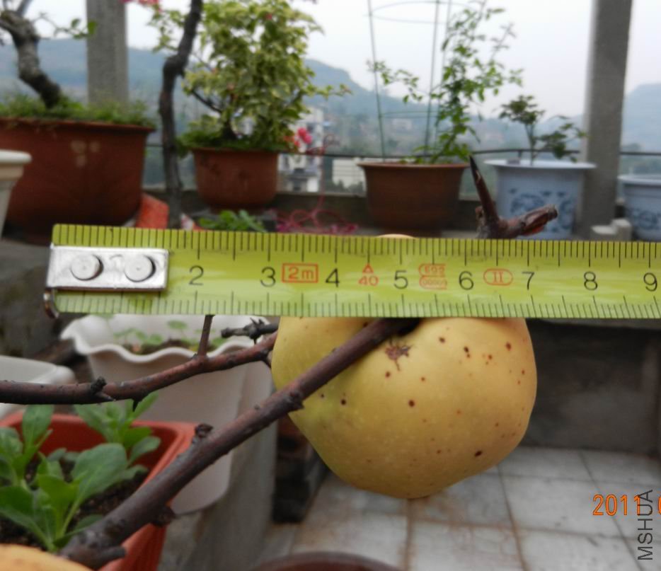 ���� 003.jpg