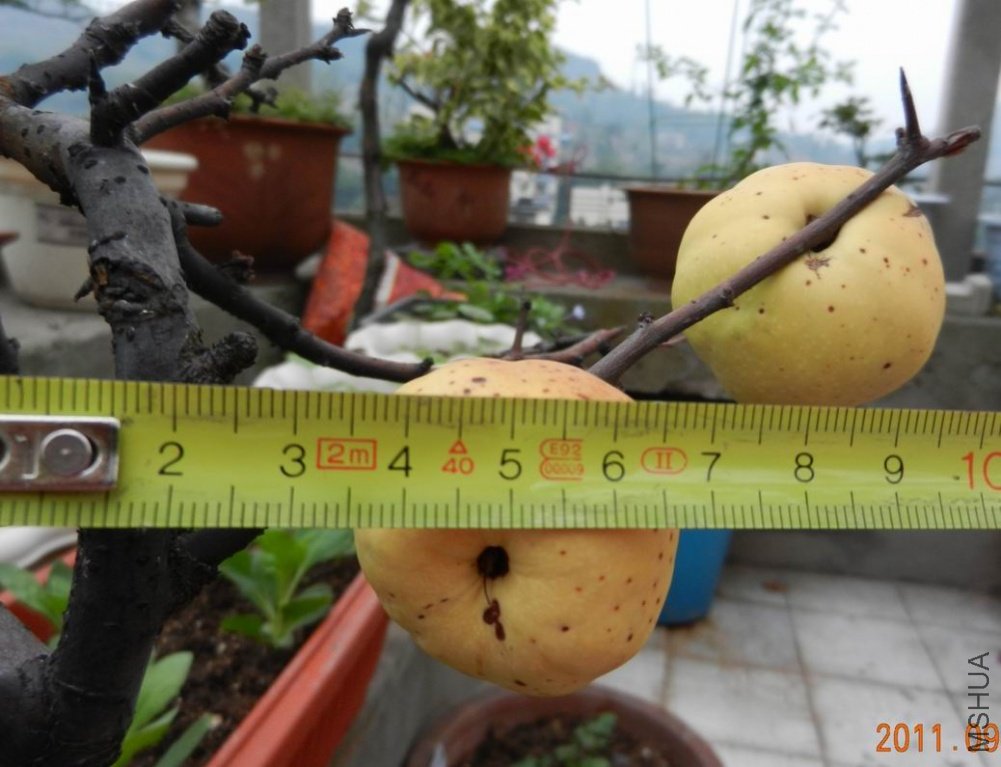 ���� 004.jpg