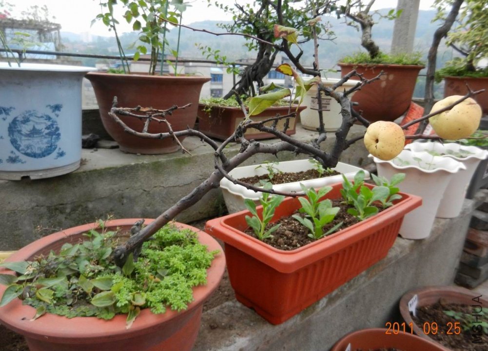 ���� 006.jpg