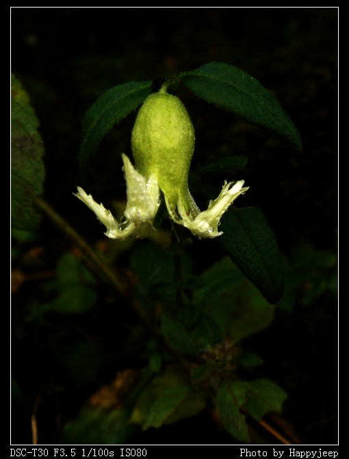 10 ������.jpg