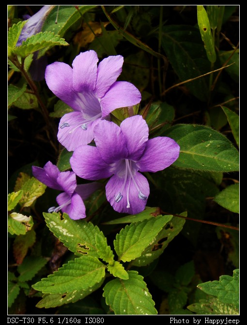 12 ������ �ٶž�.jpg