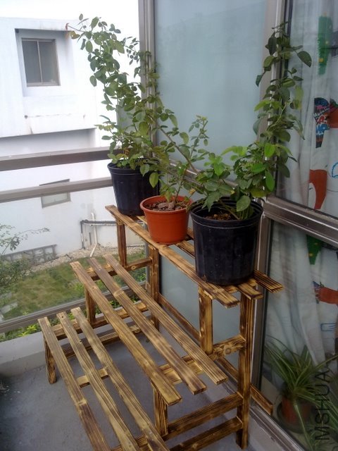 201109251992.jpg