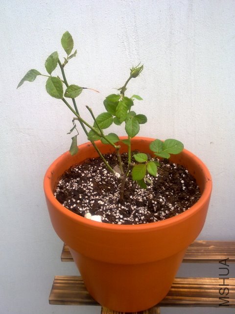 201109251994.jpg