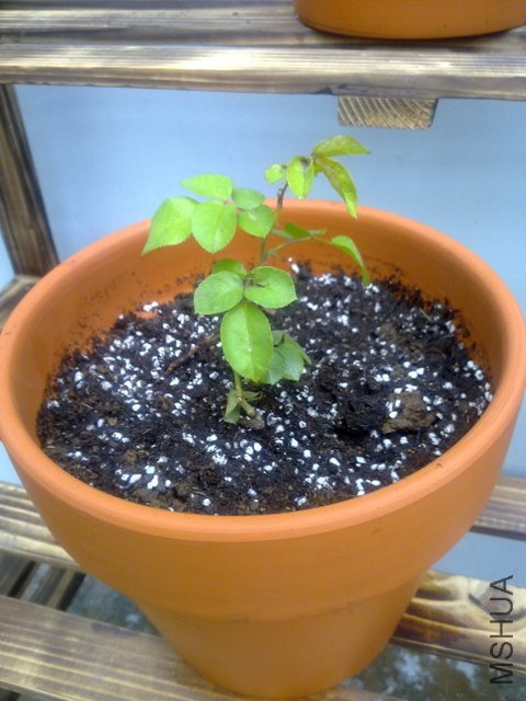 201109251997.jpg